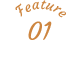 Feature01