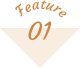 feature01